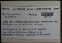 Image Associated With the Occurence